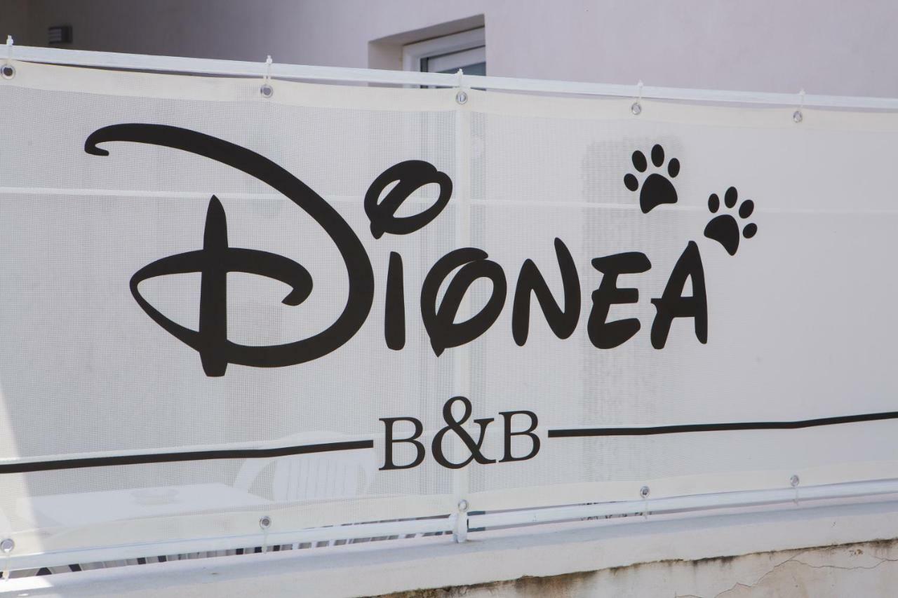 B&B Dionea Santa Maria di Castellabate Εξωτερικό φωτογραφία