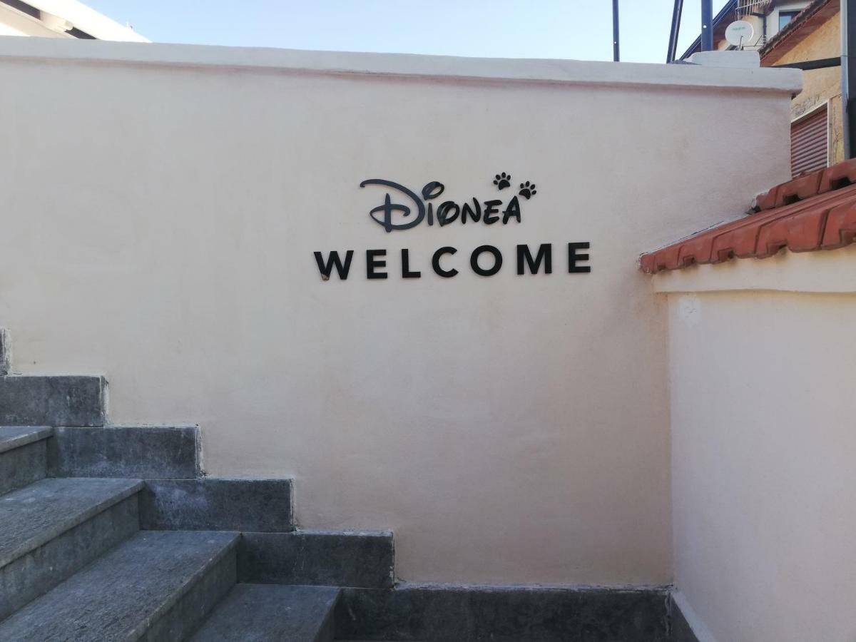 B&B Dionea Santa Maria di Castellabate Εξωτερικό φωτογραφία